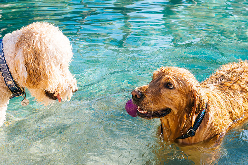 Hydrotherapy and physiotherapy