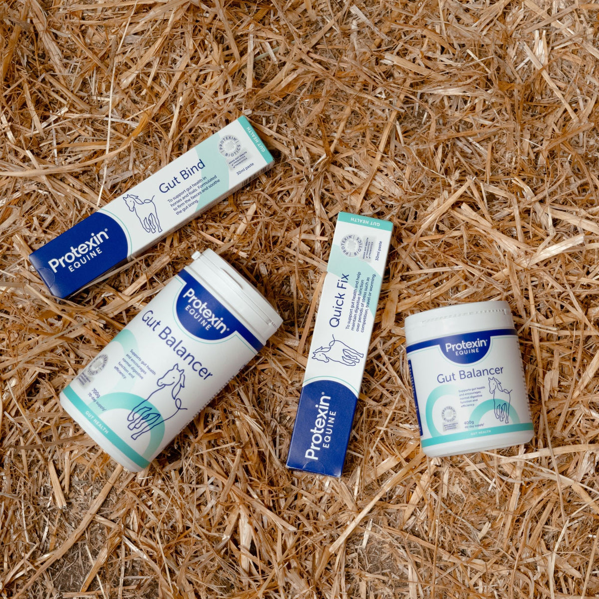 Four bottles and boxes of Protevin Equine gut health products arranged on a bed of straw hay. The products include Gut Binder, Gut Balancer, Quick Fit, and another Gut Balancer container.