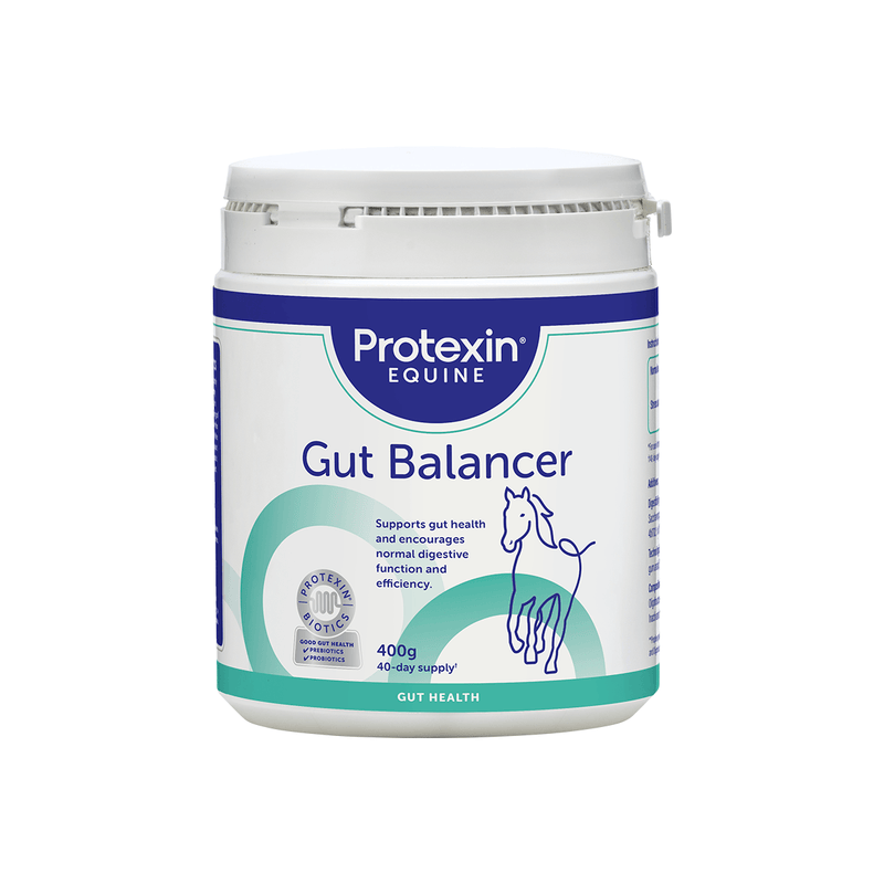 Gut Balancer