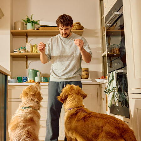 A man in a kitchen stands between two golden retriever dogs, holding small treats in his hands. The kitchen has cream cabinets, gold handles, wooden shelves, and a green backsplash.