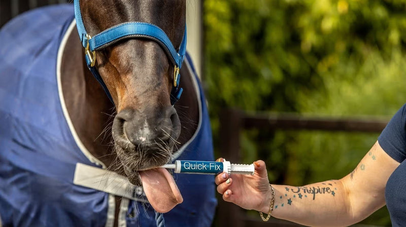 Horse Worming Guide: What owners need to know