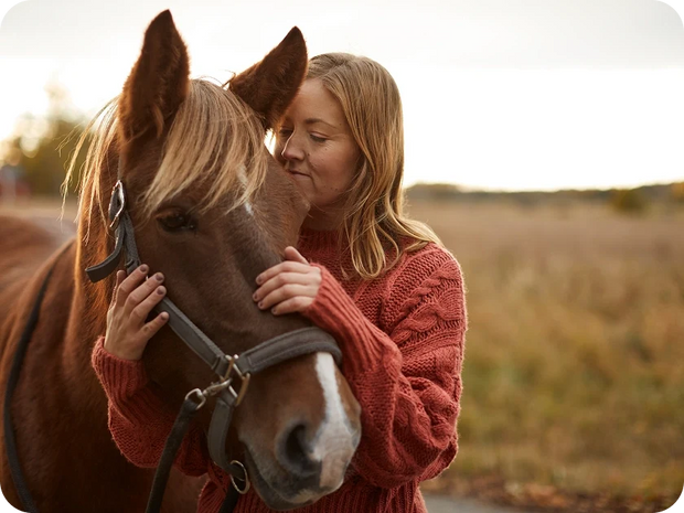 Shop equine