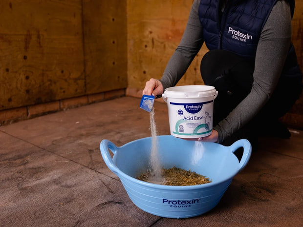 Gut Health Supplements For Horses