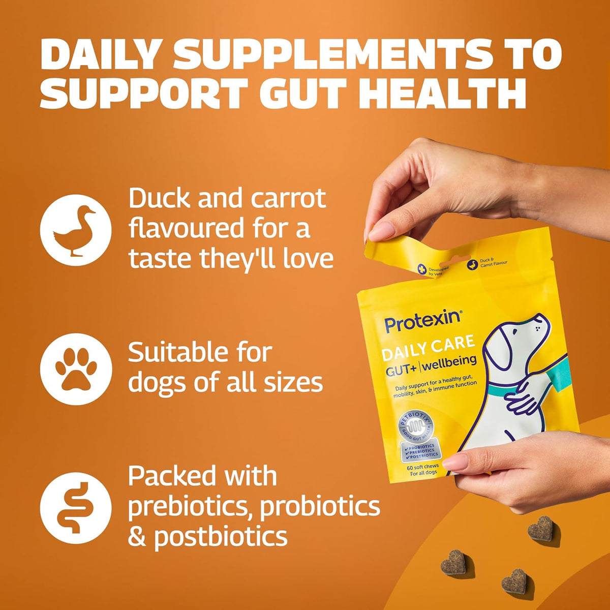 Daily Care Gut+ Wellbeing - 60 Chews