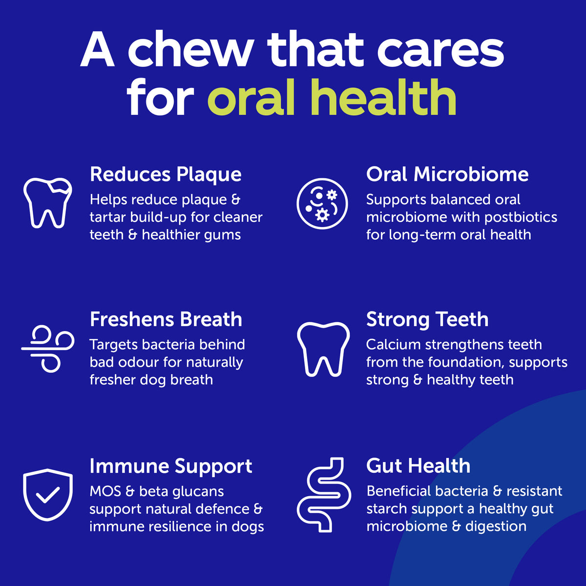 Daily Care Gut+ Dental - 60 Chews
