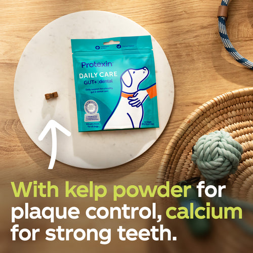 Daily Care Gut+ Dental - 60 Chews