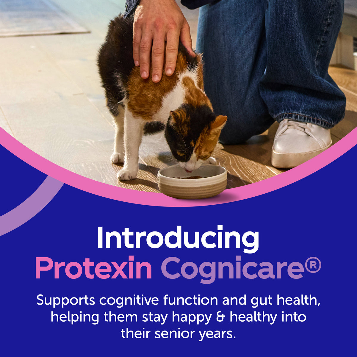CogniCare