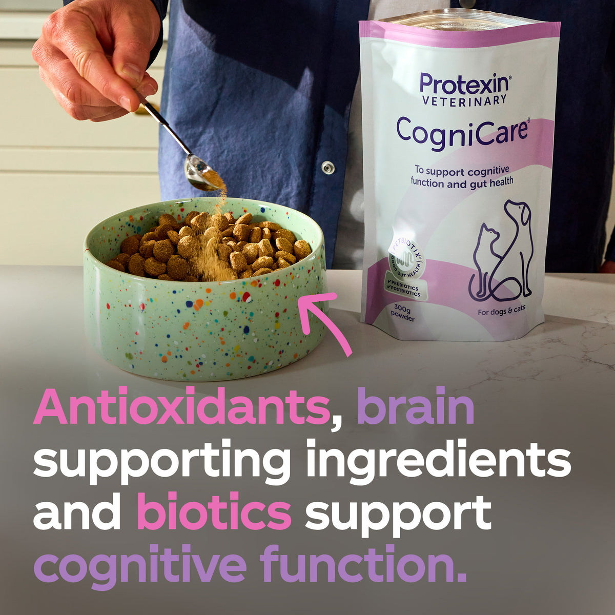 CogniCare
