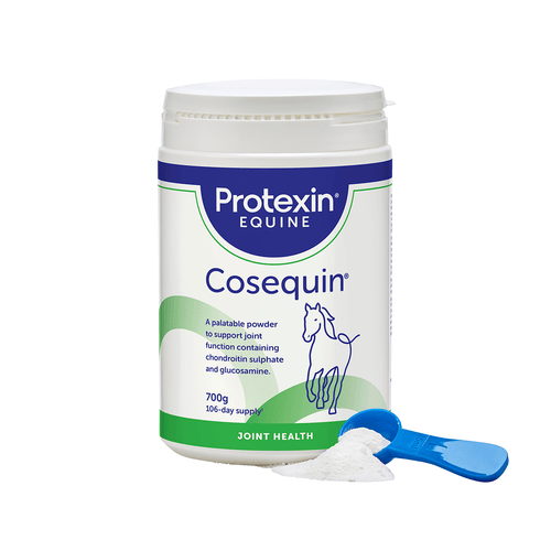 Cosequin 700g