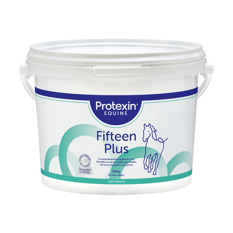 Fifteen Plus 900g