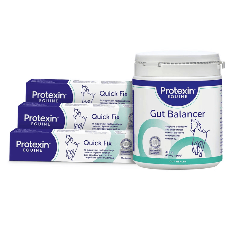 Gut Balancer 400g + Quick Fix Trio