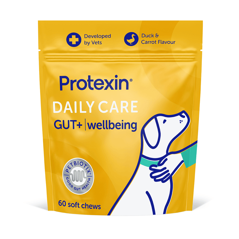 Daily Care Gut+ Wellbeing - 60 Chews