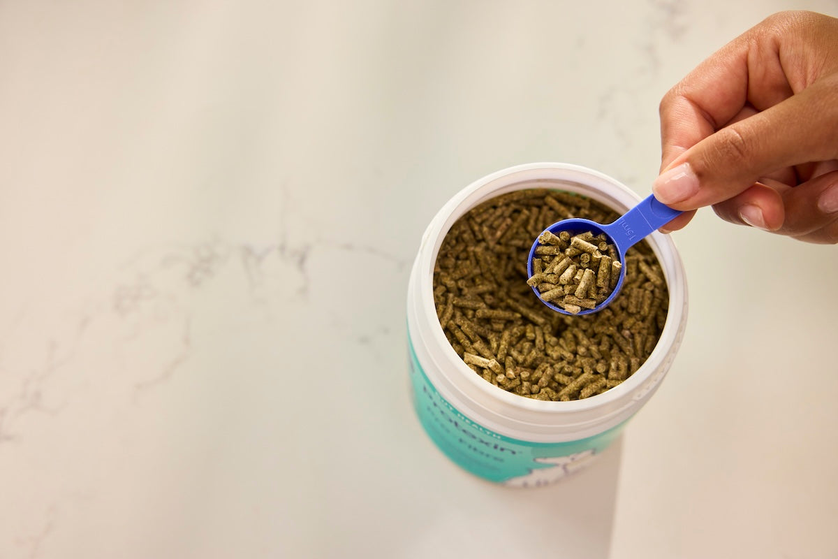 Pro-Fibre Digestive Pellets - Dogs & Cats