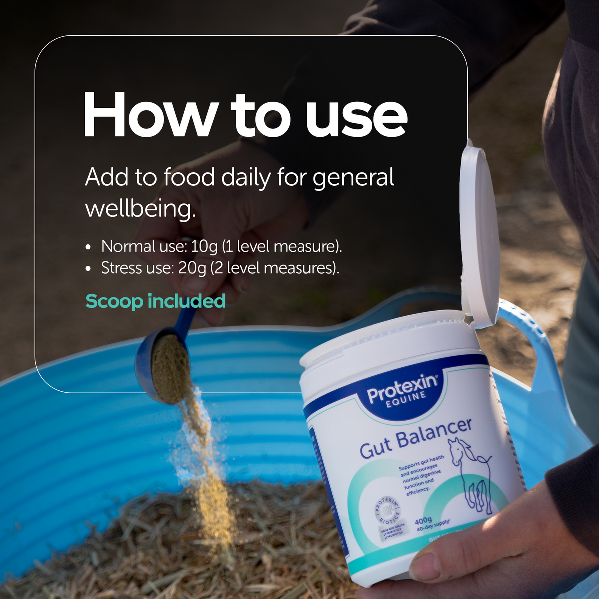 Gut Balancer