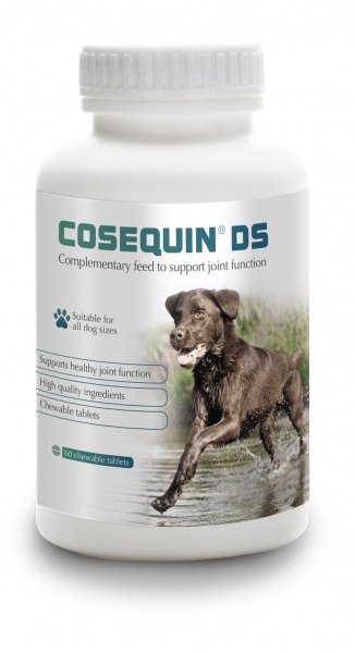 Protexin Veterinary Cosequin DS