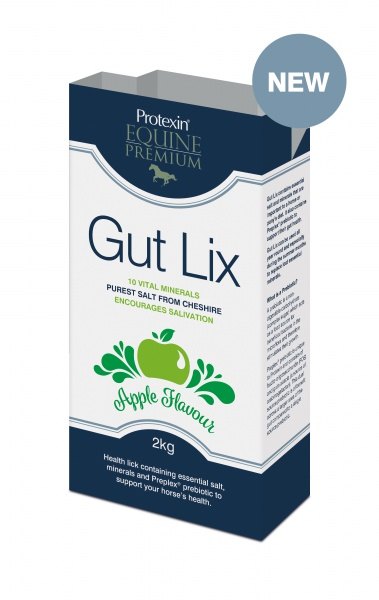 Equine Premium Gut Lix