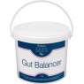 Equine Premium Gut Balancer