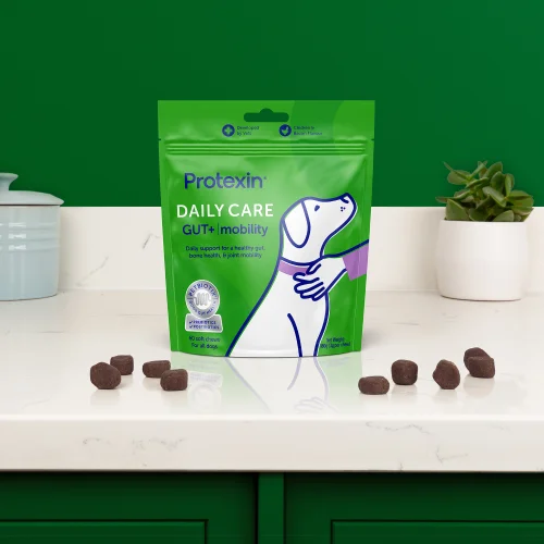 Daily Care Gut+ Mobility - 60 Chews Image 2