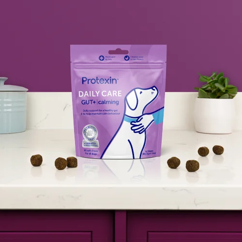 Daily Care Gut+ Calming - 60 Chews Image 2