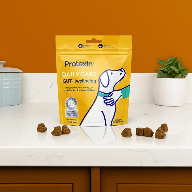 Daily Care Gut+ Wellbeing - 60 Chews