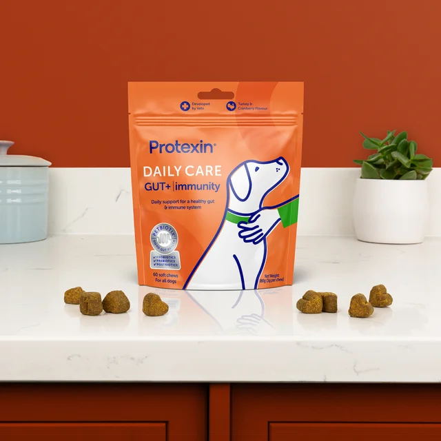 Daily Care Gut+ Immunity - 60 Chews