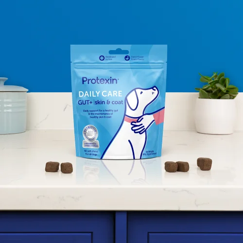 Daily Care Gut+ Skin & Coat - 60 Chews Image 2