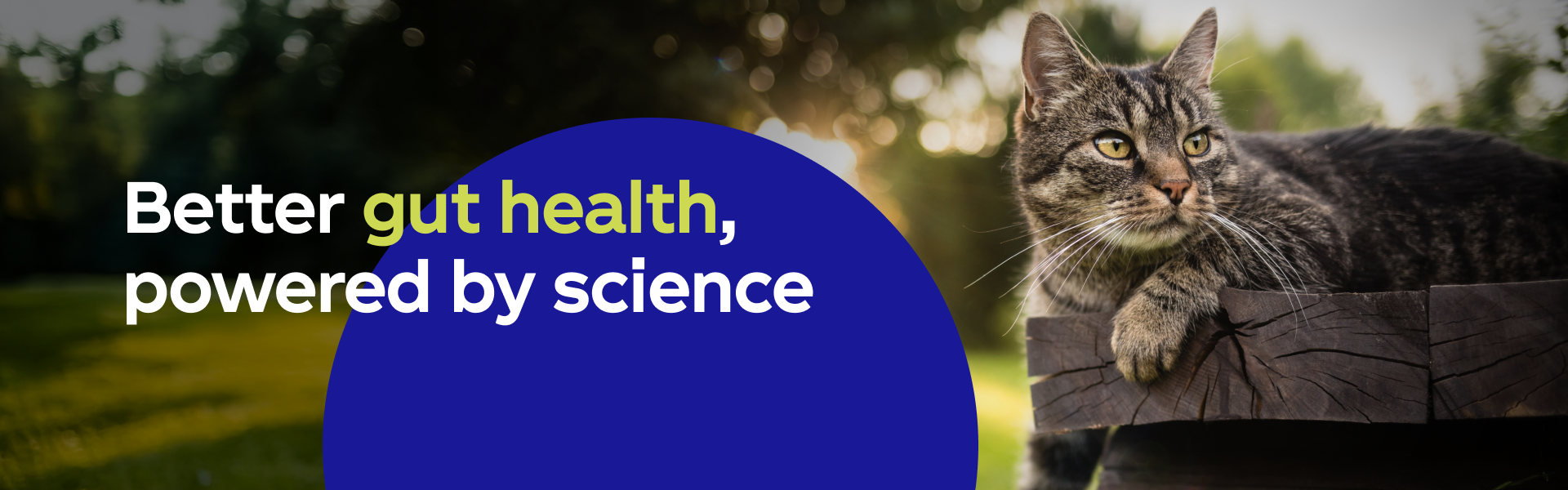 Better gut health, powered by science