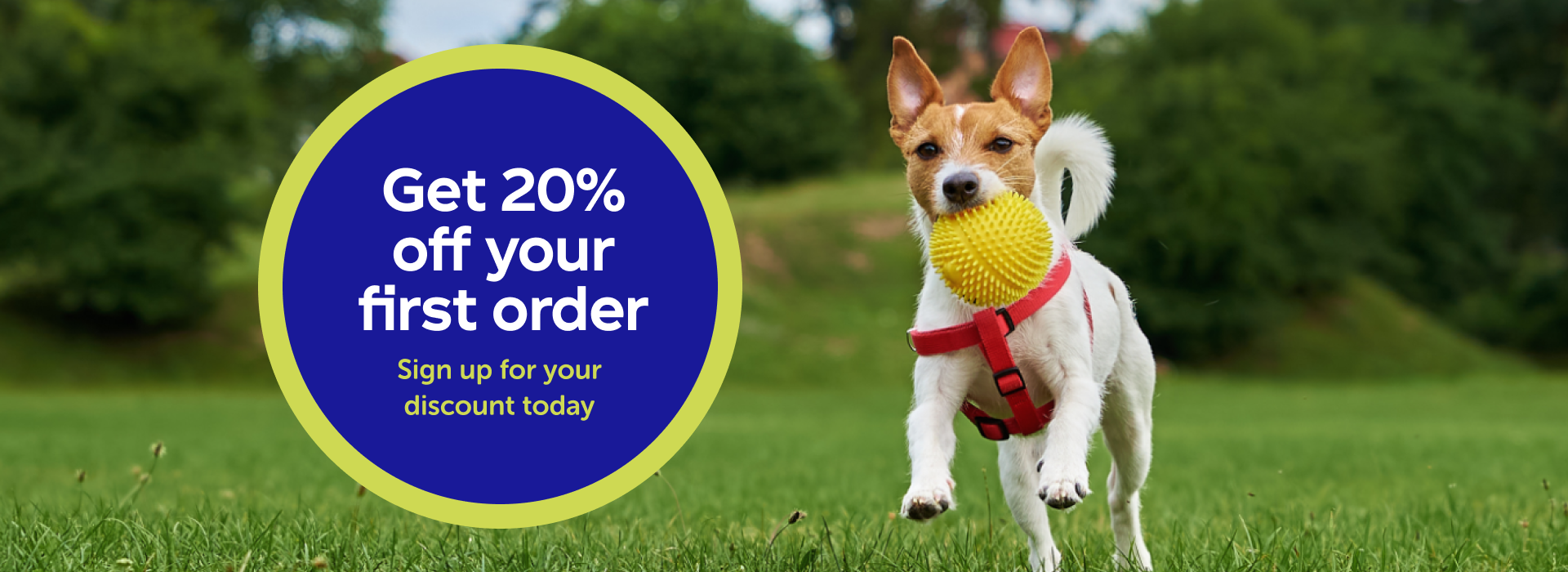 Get 20% off your first order