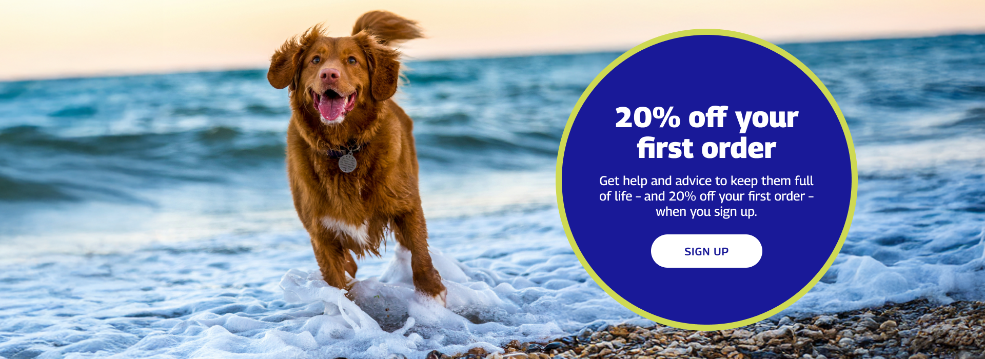 Refer a friend banner of dog running on the beach