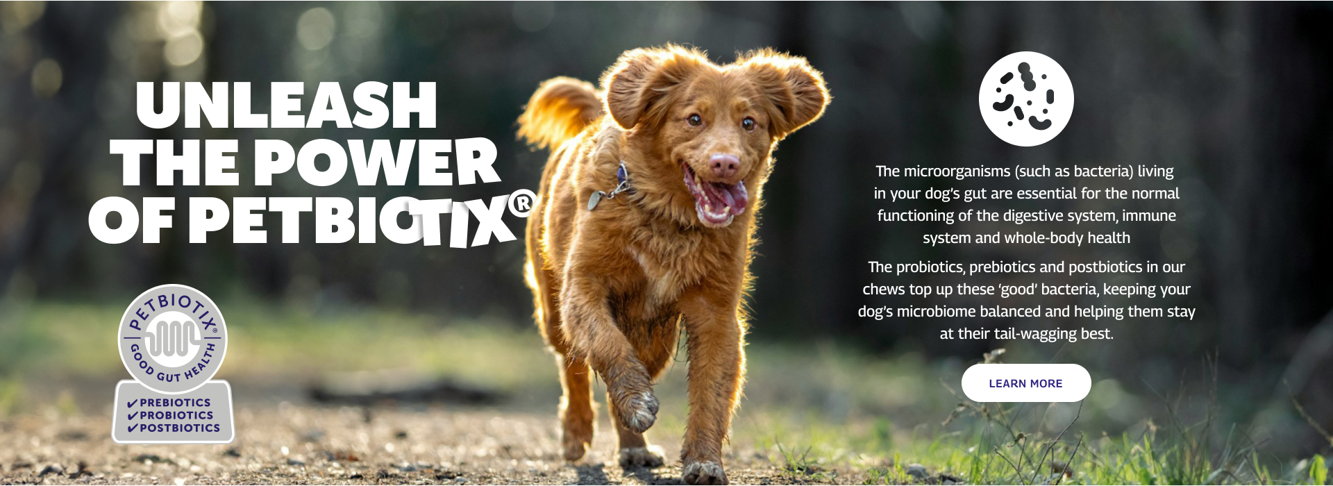UNLEASH THE POWER OF PETBIOTIX® The micro-organisms (such as bacteria) living in your dog’s gut are essential for the normal functioning of the digestive system, immune system and whole-body health. The probiotics, prebiotics and postbiotics in our chews top up these ‘good’ bacteria, keeping your dog’s microbiome balanced and helping them stay at their tail-wagging best. Learn More.