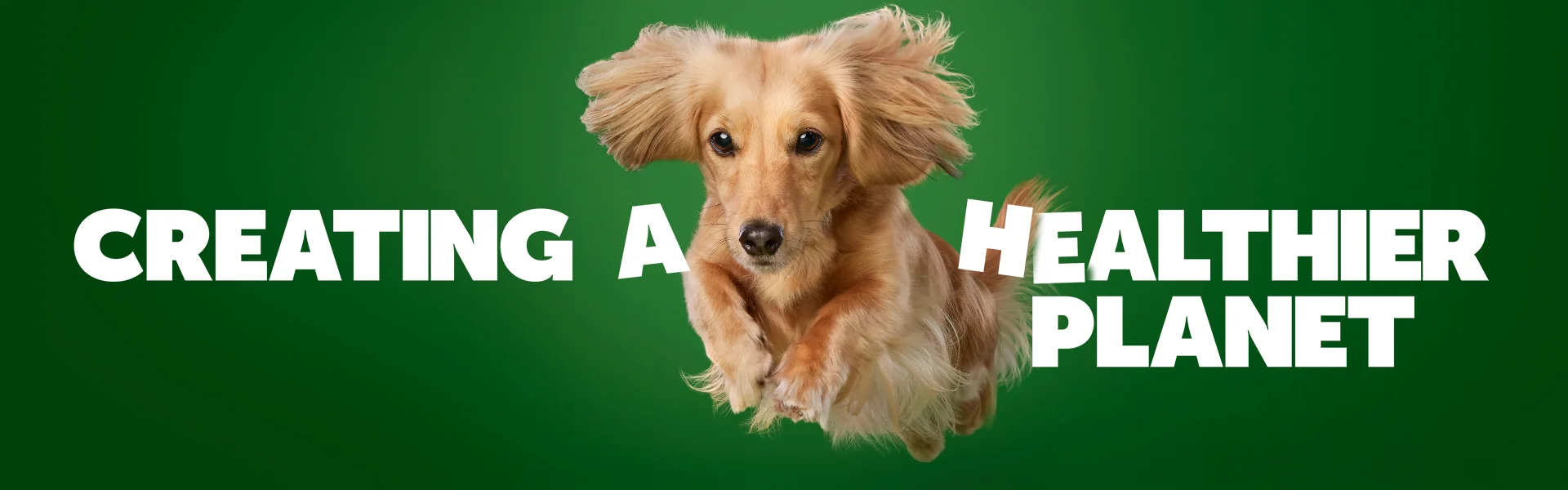 Creating a healthier planet