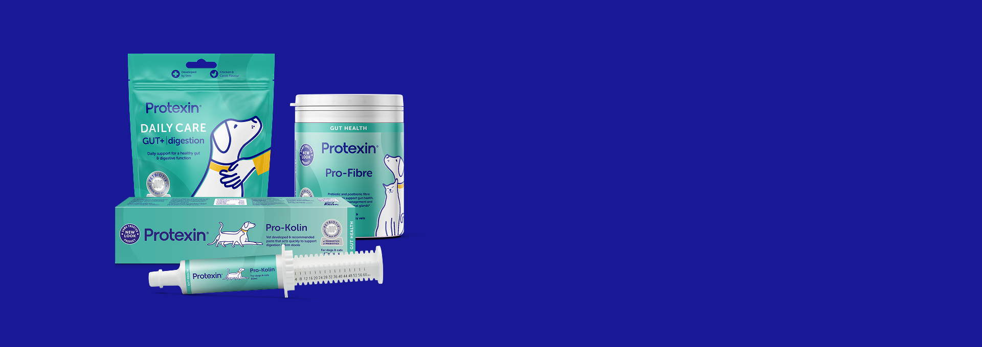 Gut health is whole-body health