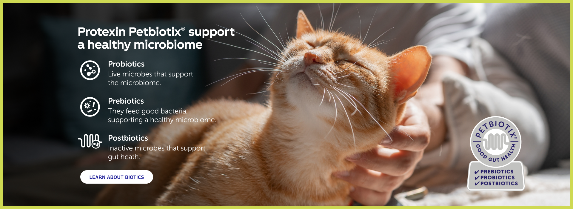 Protexin Petbiotix® support a healthy microbiome. Probiotics Live microbes that support the microbiome. Prebiotics They feed good bacteria, supporting a healthy microbiome. Postbiotics Inactive microbes that support gut health. LEARN ABOUT BIOTICS