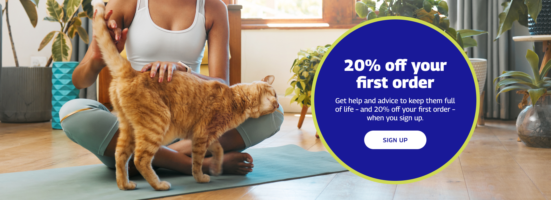 20% off your first order - Banner with cat