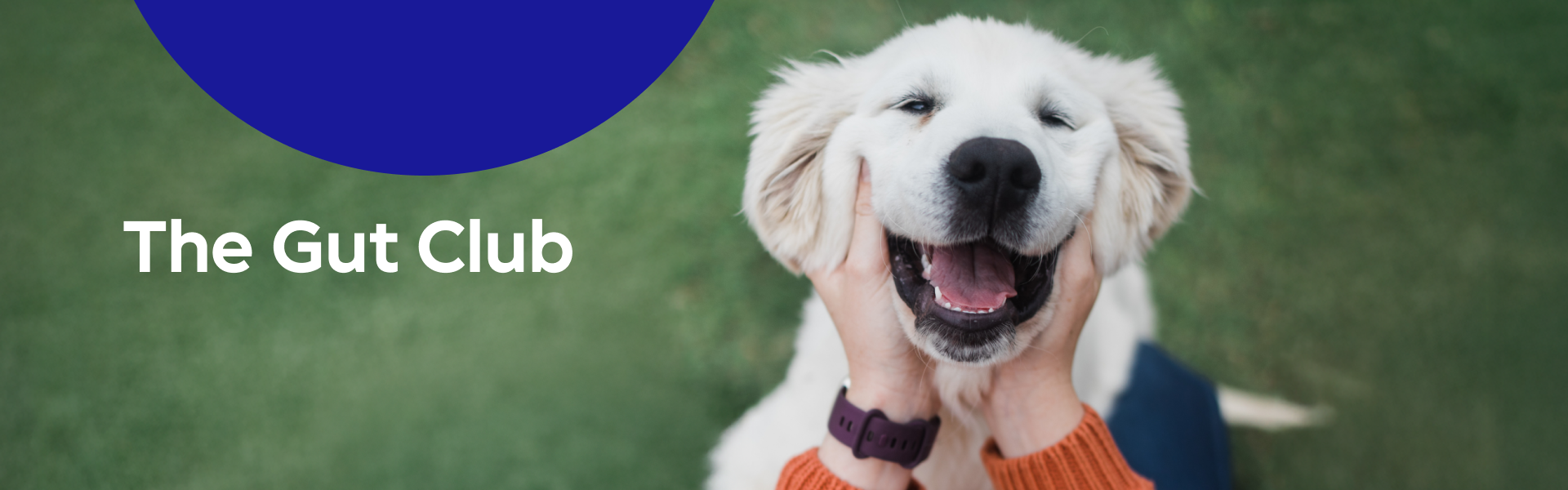 The Gut Club