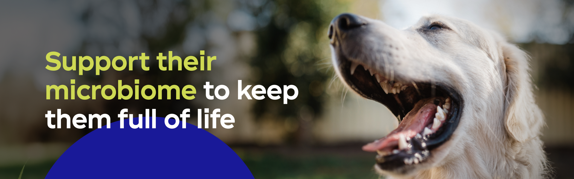 Support their microbiome to keep them full of life