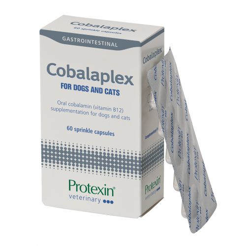 Introducing Cobalaplex!