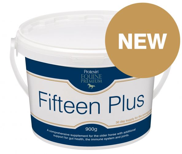 Introducing Fifteen Plus!